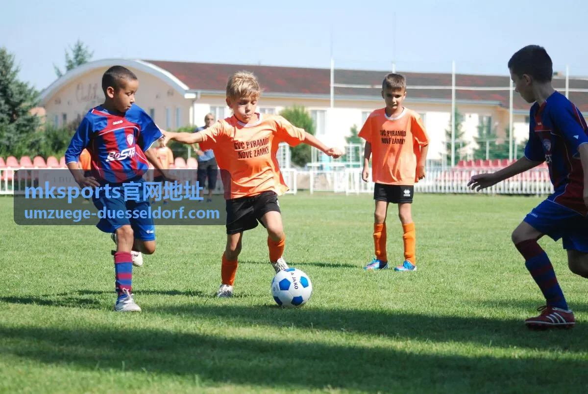 mksports官网地址官方入口获取指引
