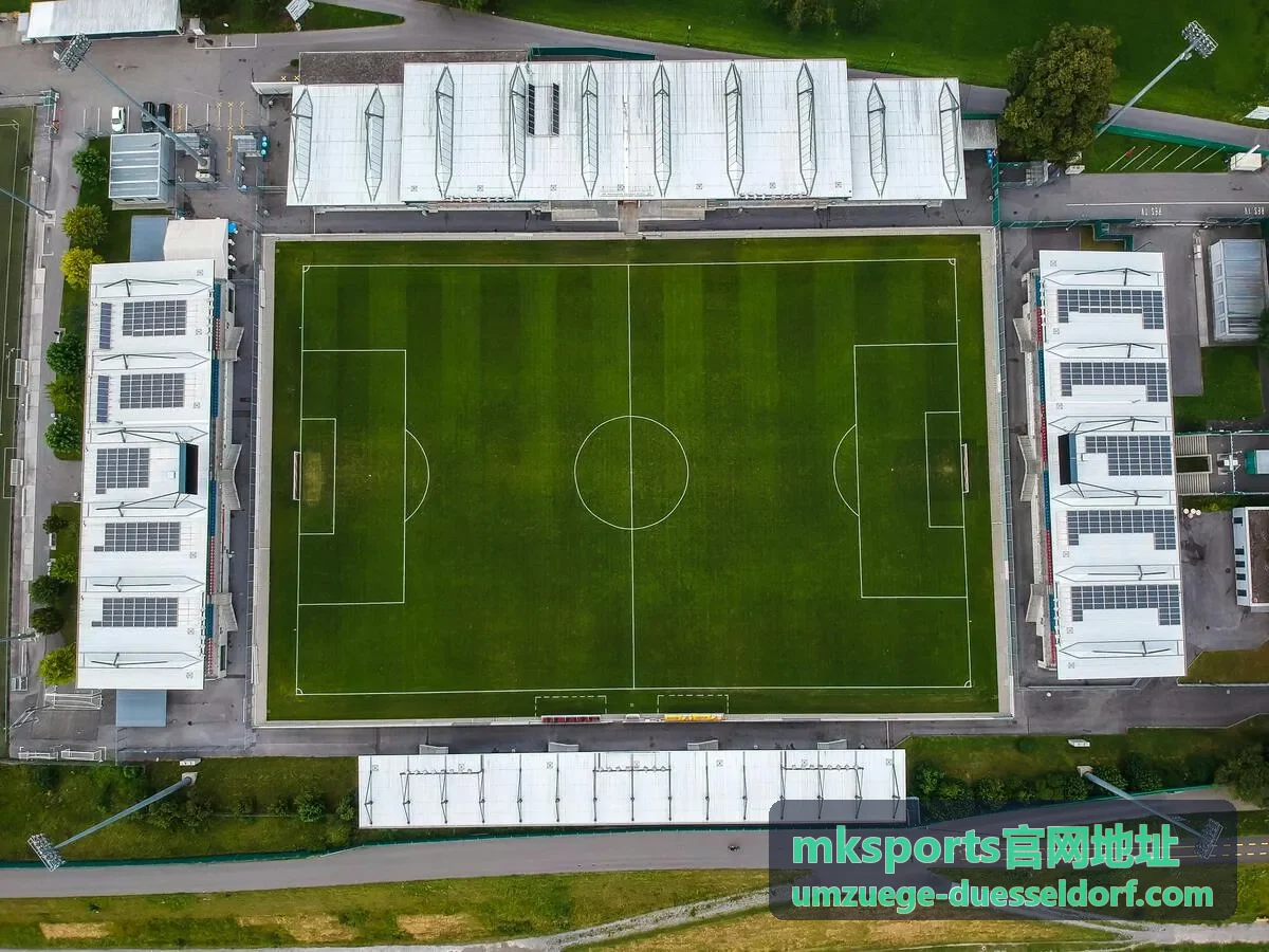 mksports官网地址平台新手快速入门