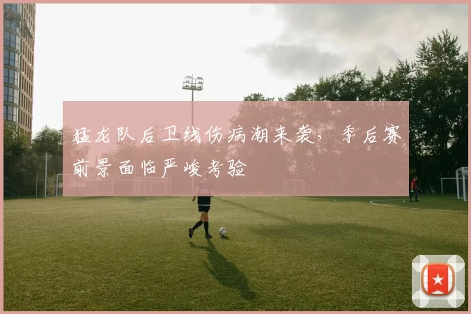 猛龙队后卫线伤病潮来袭，季后赛前景面临严峻考验