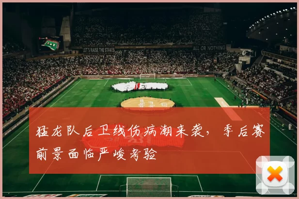 猛龙队后卫线伤病潮来袭，季后赛前景面临严峻考验