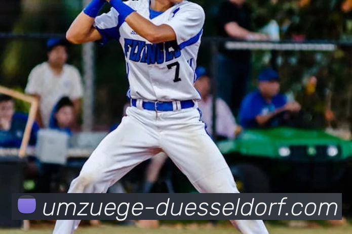 mk国际体育平台生态图